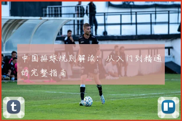 中国排球规则解读：从入门到精通的完整指南