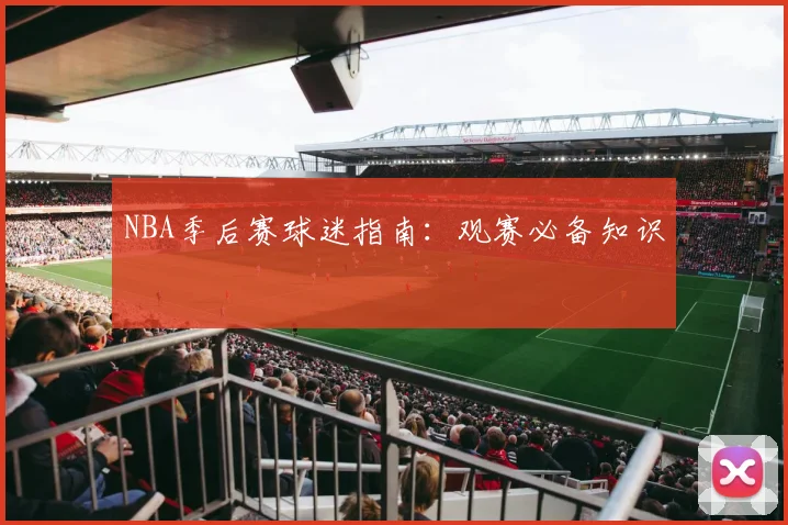 NBA季后赛球迷指南：观赛必备知识