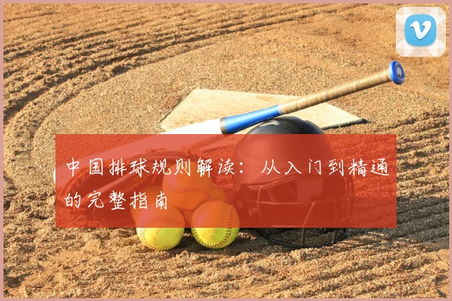 中国排球规则解读:从入门到精通的完整指南